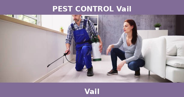 PEST CONTROL Vail